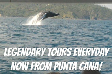 From Punta Cana: Famous Whale Samana and Cayo Levantado Beach with Whale Biologist