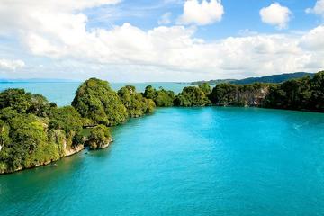 Los Haitises National Park and Cayo Levantado Island Day Trip from Samana