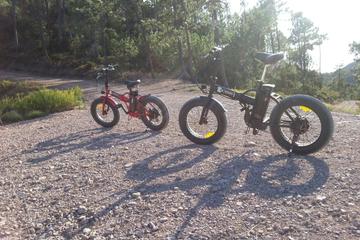 Full-Day Electric Bike Rental in Cannes
