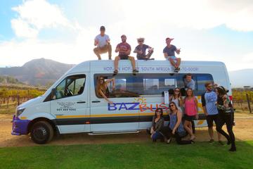 One-Way Hop-on Hop-off Bus from Cape Town to Port Elizabeth