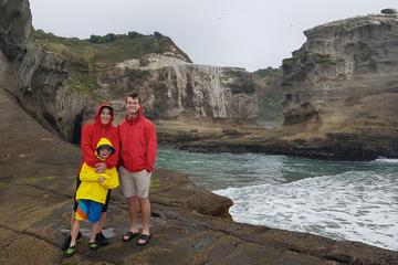 Family Adventure Day Trip to Black Sand Beaches from Auckland