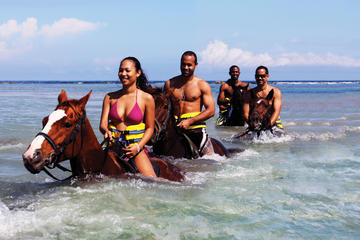 Best of the West Jamaica Island Experience