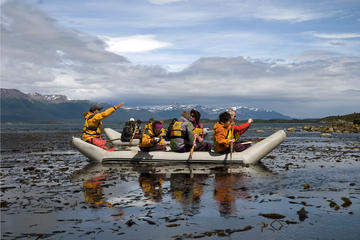 Full-Day Gable Island Eco-Adventure at the Beagle Channel