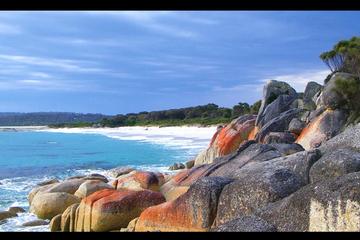 Bay of Fires Day Trip from Launceston
