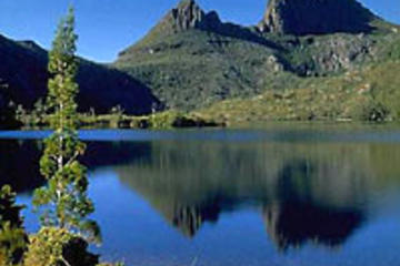 Cradle Mountain National Park Day Tour from Launceston