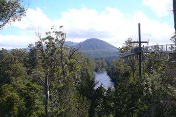 Huon Valley and Tahune Forest Airwalk Tour from Hobart