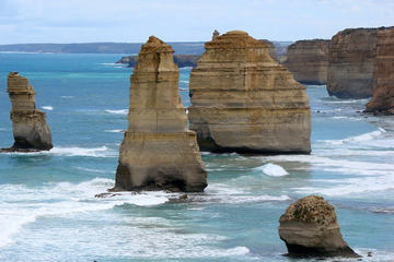Melbourne Combo: Great Ocean Road Tour and Phillip Island Penguin Parade Tour