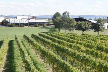 Puffing Billy Train and Yarra Valley Food and Wine Day Trip from Melbourne