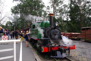 Puffing Billy Train With Optional Penguin Parade or Melbourne City Tour