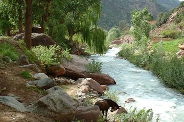 4 Valleys best Private Guided with lunch, camel ride Day Trip from Marrakech