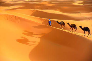 Marrakech to Merzouga small group shared Desert tour