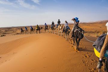 Marrakech to Zagora Desert tour