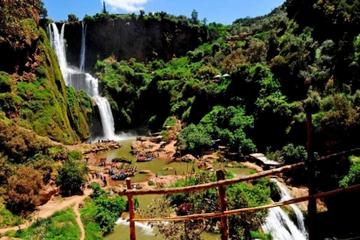Private Day Trip to Ouzoud Waterfalls from Marrakech