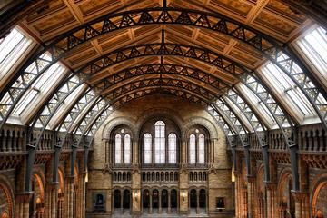 Natural History Museum London Private Guided Tour