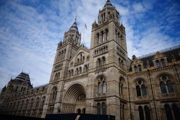 Natural History Museum London Small Group Guided Tour