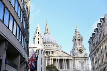 Small-Group Half-Day National Gallery and City of London