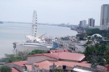 Private Half Day City Tour of Guayaquil and Historical Park