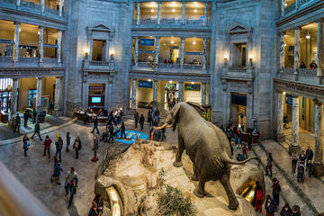Private Combo Tour: Smithsonian National Museum of Natural History and National Gallery of Art