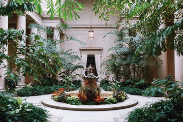 Smithsonian Museum of Natural History and National Gallery of Art Combo Tour