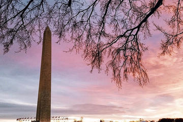The National Mall and National Gallery of Art Private Tour