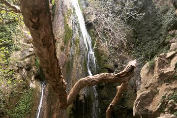 Herbs Olives and Waterfall Adventure Tour - 4x4 Excursion with Land Rover