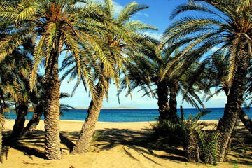 The palm forest of Vai - Adventure Tour