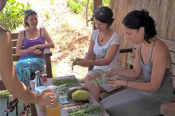Workshop on a Herbal Farm - 4x4 Excursion with Land Rover