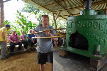 Costa Rican Farm Tour in La Fortuna