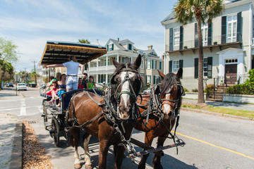 Carriage Tour of Historic Charleston