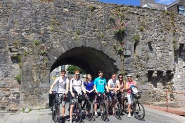 Private Guided Bicycle Tour of Galway City