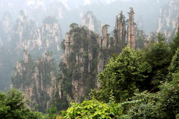 Private Tour of Zhangjiajie National Forest Park, Wulingyuan Scenic, and Historic Interest Area of Zhangjiajie
