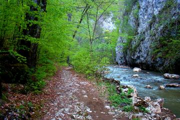 Day trek: Nature and wilderness in Varghis Gorges