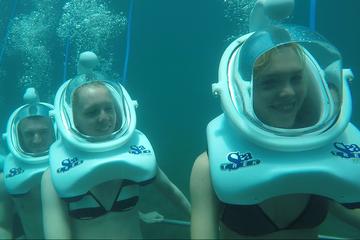 Full-day Cham Islands Cruise from Hoi An with Underwater Walking Excursion