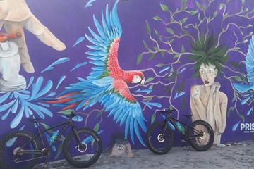Fat Bike Graffiti and Art Tour in Puerto Vallarta