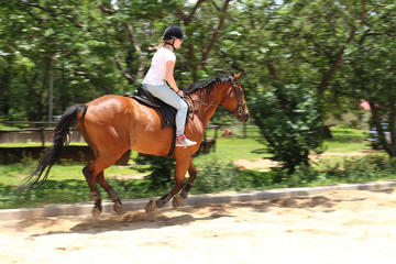 Horseback Riding Adventure from Ocho Rios