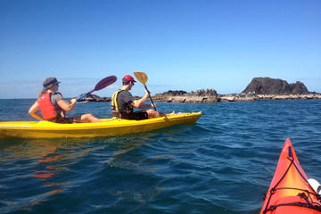 Port Douglas Half-Day Kayak Tour