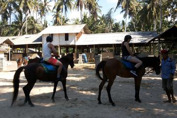 Bali Beach Horse Riding and Hidden Canyon Tour