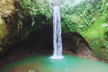 Bali : Undiscovered Bangli