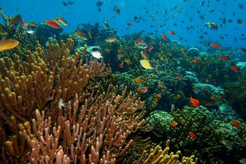 Bali Watersport Packages