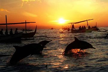 Dolphin Watching in Lovina and Gitgit Waterfall Tour