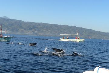 Lovina Dolphin Watching  and Temple Tours with Lunch