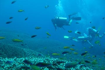 Private Adventure - Nusa Dua Dive