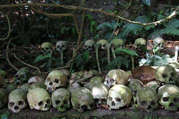 Private Journey to Trunyan - Bali Ancient Cemetery with the Taru Menyan Tree