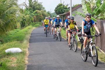 Private Mountain Cycling Adventure in Bali: Kintamani to Ubud