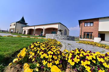 Fruska gora Full Day Wine Tour from Belgrade