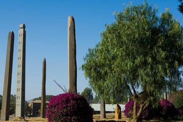 Best of Axum in One Day: History, Culture and Adventure