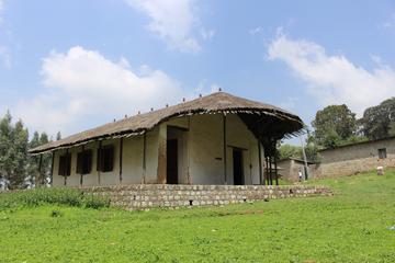 Entoto Mountain Guided Day Tour from Addis Ababa