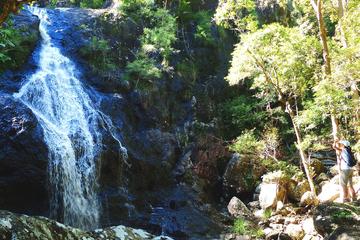 Bushwalkers' Adventure Noosa Hinterland Full-Day