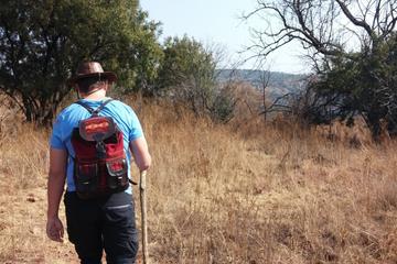 Hiking Day Tour From Johannesburg