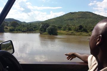 Pilanesberg Game Reserve Guided Day Tour from Johannesburg or Pretoria
